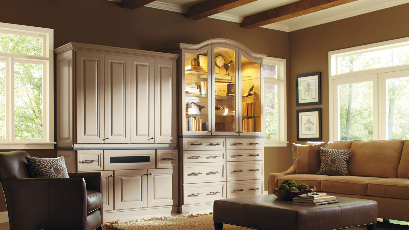 Living Room Storage Cabinets With Doors
