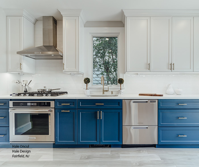 Blue and White Kitchen Cabinets: Chic and Timeless Elegance